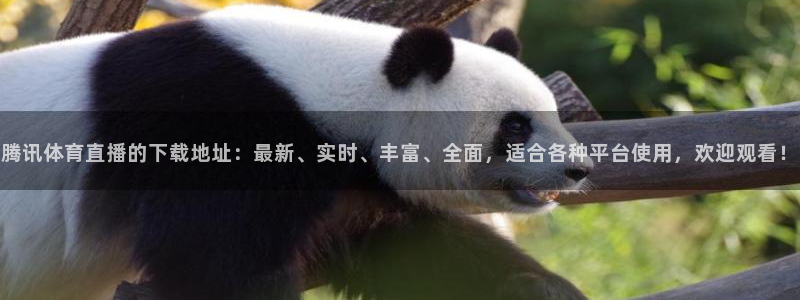 腾讯体育直播的下载地址：最新、实时、丰富、全面，适合各种平台使用，欢迎观看！