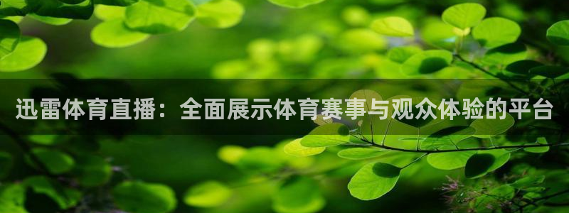 迅雷体育直播：全面展示体育赛事与观众体验的平台