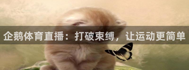 企鹅体育直播：打破束缚，让运动更简单