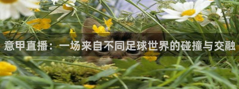 意甲直播：一场来自不同足球世界的碰撞与交融